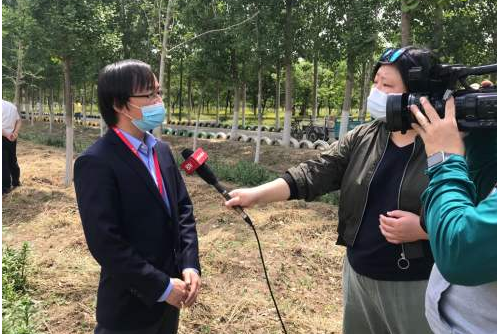 “世界级濒危鸟类黑脸琵鹭现身广东”
