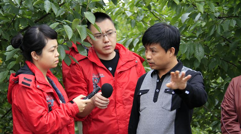 “湖北荆门水杉林迎来最佳观赏期”